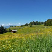 rodenecker alm wiesen nahe roner huette