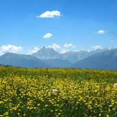 rodeneckeralm luesneralm blumenwiesen landschaft