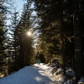 wanderer am schoepfungsweg wald