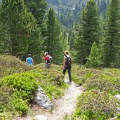 weg B speikboden michlreis wanderer