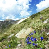 sonnklar nock panoramaweg speikboden