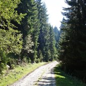 forststrasse richtung brunstalm weg b