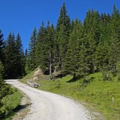 forststrasse richtung brunstalm weg b