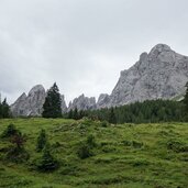 almwiesen am schellabboden