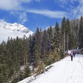 weg nr gsies richtung uwaldalm winter wanderer