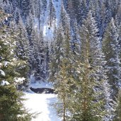 winter wald am weg gsiesertal richtung uwaldalm