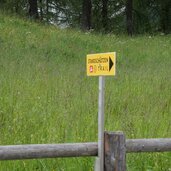 wegweiser standschuetzen trail