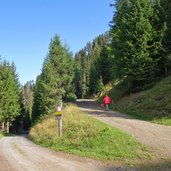 beginn forstweg kamelisenalm bei schettlet hochberg innervillgraten