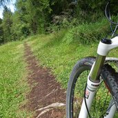 weg abkuerzung abstieg nach bad moos mtb trail