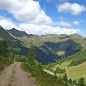 wiesen oberhalb kamelisenalm fr