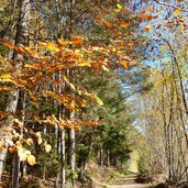 weg hofern kiens herbst