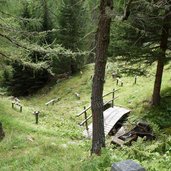 carnica bienenzucht kristeinertal