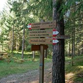 weg nr reischach nach haidenberg wegweiser