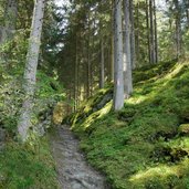 weg nr auf den kronplatz