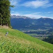 wiesen bei haidenberg