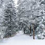 weg bei st johann muehlegg ahrntal winter