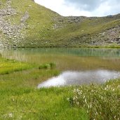 kleiner remessee