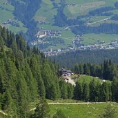 leckfeldalm darunter heinfels im pustertal