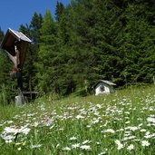 wiesen am furkelpass