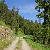 forstweg zur walder alm