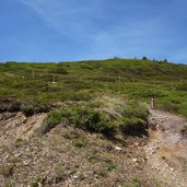 weg aufstieg burgstallalm astjoch