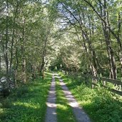 drau radweg r bei unterpirkach