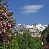 fruehling schloss burg taufers