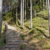 franziskusweg taufers reinbachfaelle