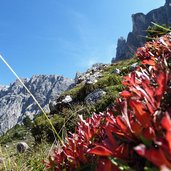 antersasc tal puez gardenaccia herbststimmung