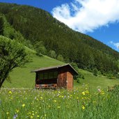 angerdorf hoefe pfunderer tal bienenstand