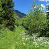 pfunderer talweg noerdlich von weitental