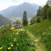 wanderweg nr ahornach sand in taufers