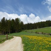 weg zum parkplatz altfasstal meransen