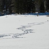 Pustertal Prags Pragser Wildsee