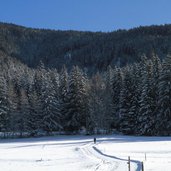 Pustertal Vierschach winterspaziergang
