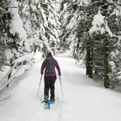 Rodenecker Alm Rastnerhuette