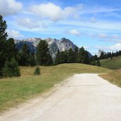 Duerrenstein Pragser Dolomiten Plaetzweise 