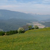 Blick auf Pustertal