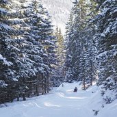 rodelbahn leckfeldalm weg rodler