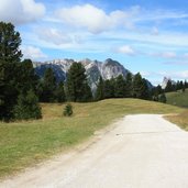 RS Duerrenstein Pragser Dolomiten Plaetzweise 