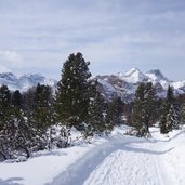 RS winter blick auf conturines und lavarella und heiligkreuzkofel zehner neuner