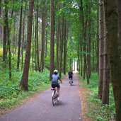 axD radweg zwischen muehlbach und vintl