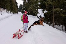 winterweg rodelbahn taistner alm