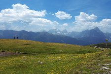 thurntaler mit bonner hoehenweg