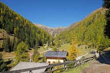 silvestertal silvesteralm herbst wald