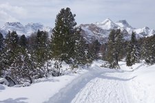 RS winter blick auf conturines und lavarella und heiligkreuzkofel zehner neuner