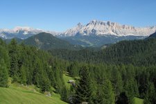 RS wald bei munt d adagn blick auf fanesgruppe