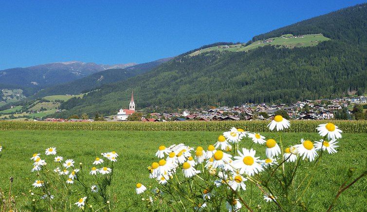 pfalzen pustertaler sonnenstrasse strada del sole pusteria