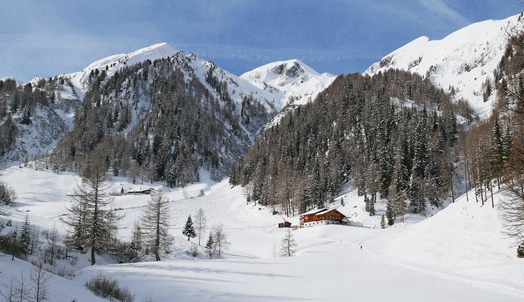 wurmtal nahe marxegger alm blick auf talschluss winter