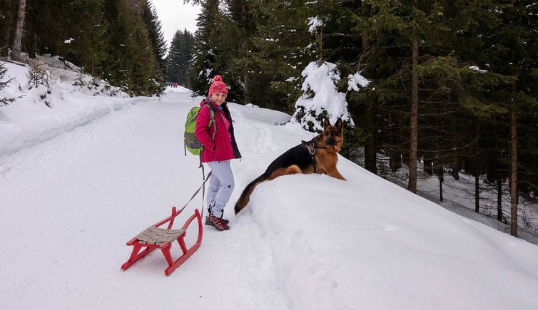 winterweg rodelbahn taistner alm